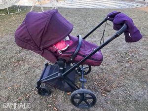 Kärukindad